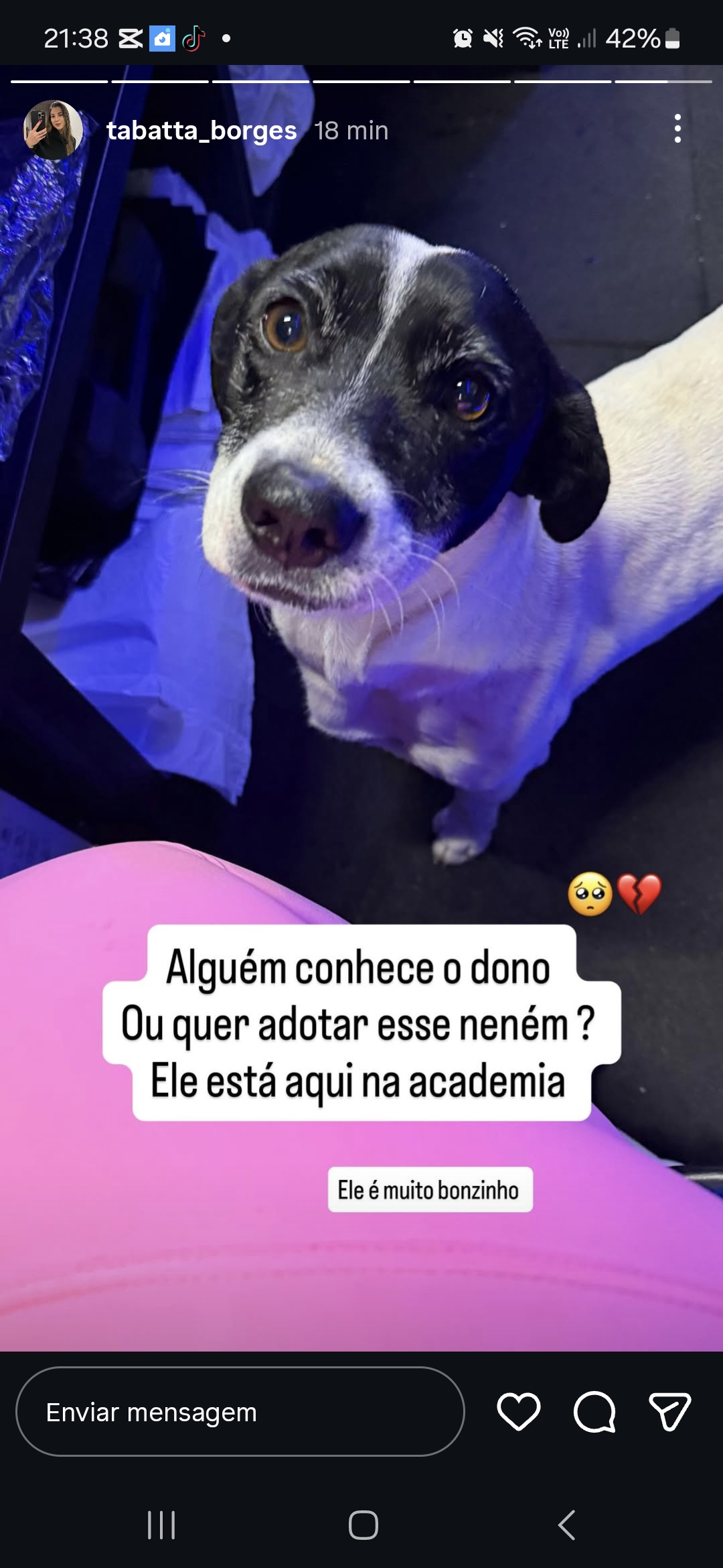 Foto do pet