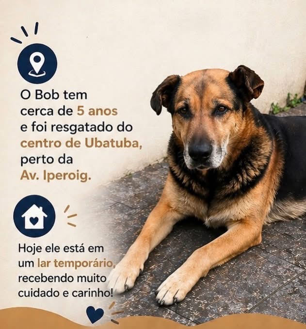 Foto do pet