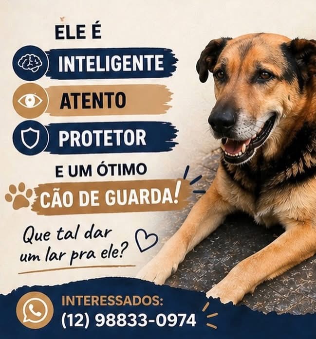 Foto do pet