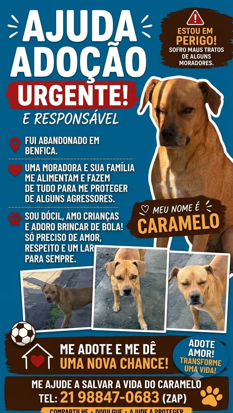 Foto do pet