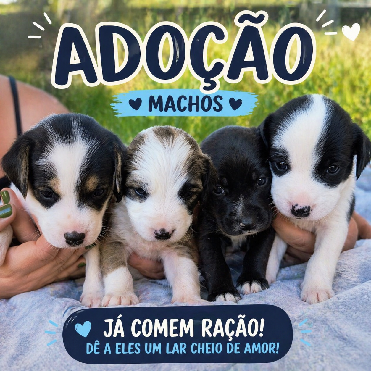 Perfil do usuário